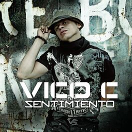 Album cover of Sentimiento