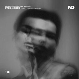 Album cover of Strangers (Ricii Lompeurs Remix)