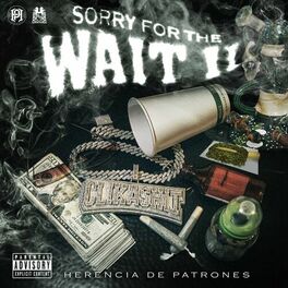 Album cover of Sorry For The Wait 2