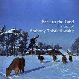 Album cover of Back To The Land: The Best Of Anthony Thistlethwaite