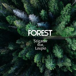 Album cover of Forest