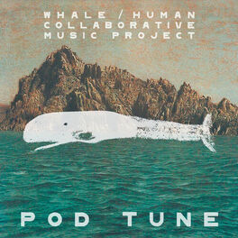 Album cover of Pod Tune