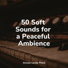 Album cover of 50 Soft Sounds for a Peaceful Ambience