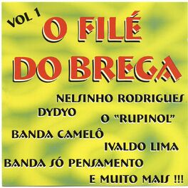 Album cover of O Filé Do Brega Vol. 1