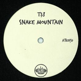 Album cover of Snake Mountain