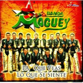 Album cover of Pa Que Veas Lo Que Se Siente