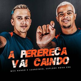 Album cover of A Perereca - Vai Caindo