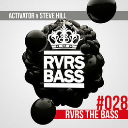 Album cover of RVRS the Bass
