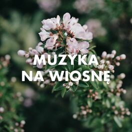 Album cover of Muzyka Na Wiosnę