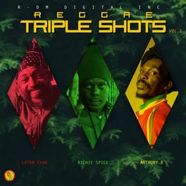 Album cover of Reggae Triple Shots, Vol. 3