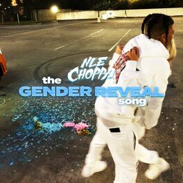 Album cover of The Gender Reveal Song