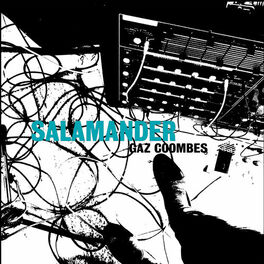 Album cover of Salamander
