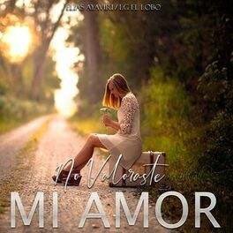 Album cover of No Valoraste Mi Amor