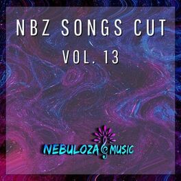 Album cover of Nbz Songs Cut, Vol. 13