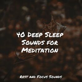 Album cover of 40 Deep Sleep Sounds for Meditation