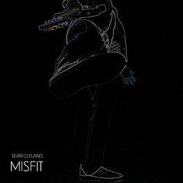 Album cover of Misfit