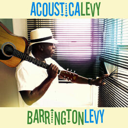 Album cover of Acousticalevy