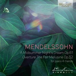 Album cover of Mendelssohn: A Midsummernight's Dream, Op. 61, Overture The Fair Melusine, Op. 32, for piano 4-Hands