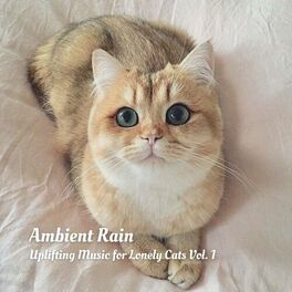 Album cover of Ambient Rain: Uplifting Music for Lonely Cats Vol. 1
