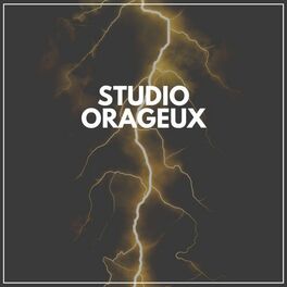 Album cover of Studio orageux