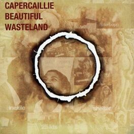 Album cover of Beautiful Wasteland