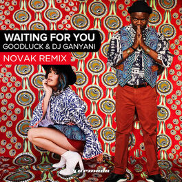 Album cover of Waiting For You (Novak Remix)