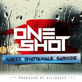 Album cover of One Shot (feat. Shatta Wale & Sarkodie)