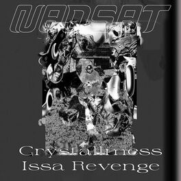 Album cover of Issa Revenge