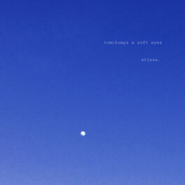 Album cover of stizza.