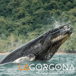 Album cover of La Gorgona