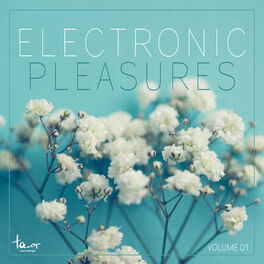 Album cover of Electronic Pleasures, Vol. 1
