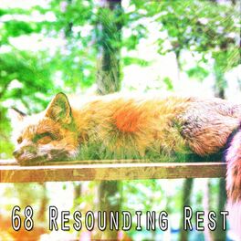 Album cover of 68 Resounding Rest