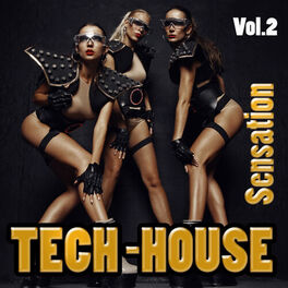 Album cover of Tech House Sensation, Vol. 2 - Groovy Dance Beats for Clubbers Only