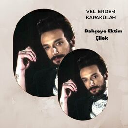 Album cover of Bahçeye Ektim Çilek