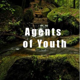 Album cover of Agents of Youth