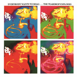 Album cover of Everybody Wants To Shag... The Teardrop Explodes