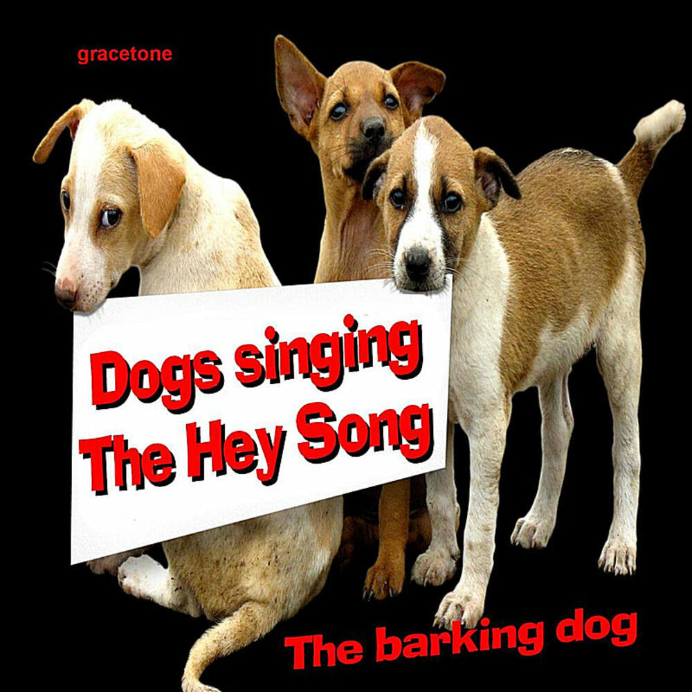 Listening dogs. Группа Barks собачками. Dog Song. The Dogs Song картинка. Hey, Dog.