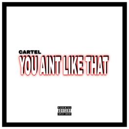 Album cover of You Aint Like That