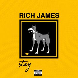 Album cover of Stay