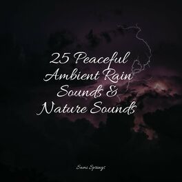 Album cover of 25 Peaceful Ambient Rain Sounds & Nature Sounds