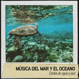 Album cover of Música del Mar y el Oceano: Ondas de agua y paz
