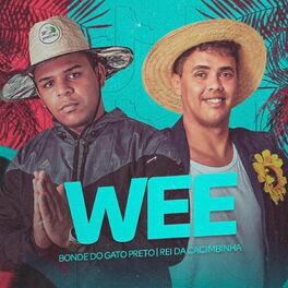 Album cover of Wee (feat. Rei da Cacimbinha)