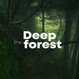 Album cover of Deep In The Forest