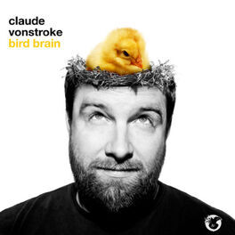 Album cover of Bird Brain (DJ Version)