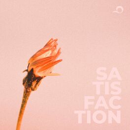 Album cover of Satisfaction