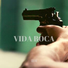 Album cover of Vida Boca