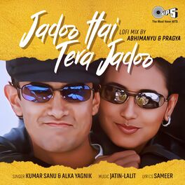 Album cover of Jadoo Hai Tera (Lofi Mix)