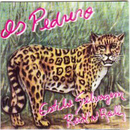 Album cover of Estilo Selvagem Rock n Roll