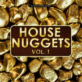 Album cover of House Nuggets, Vol. 1