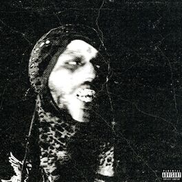 Album cover of Why Would I Not (feat. Chxpo)
